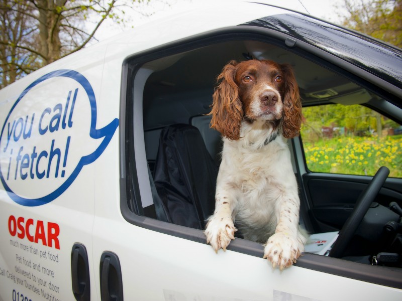 Oscar Pet Foods Franchise look at why you should consider a...