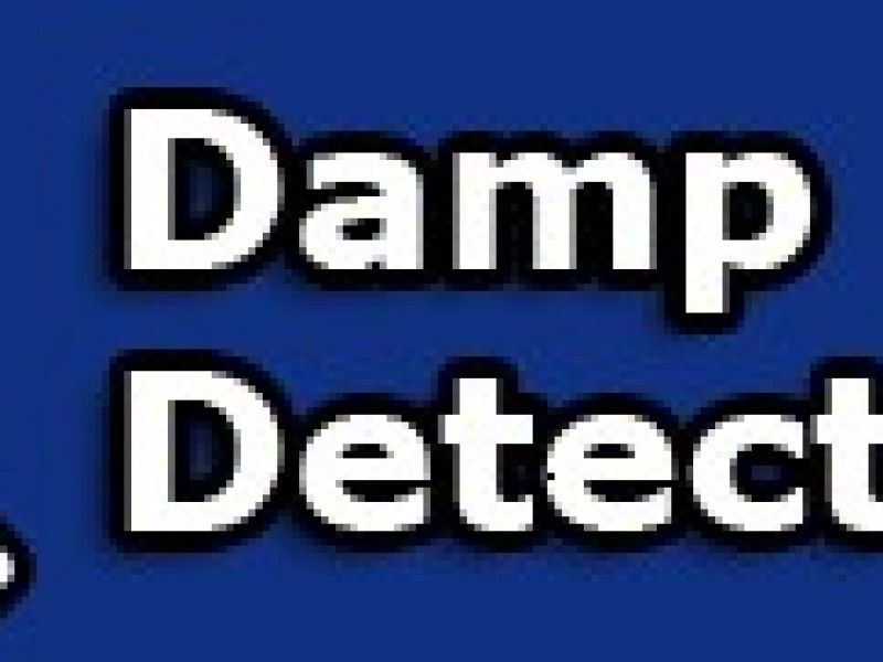Damp Detectives franchise