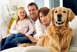 Oscar Pet Food adopt a senior franchise Oscar Pet Food adopt a senior franchise