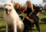 Scamps and Champs Franchisee Scamps and Champs Franchisee