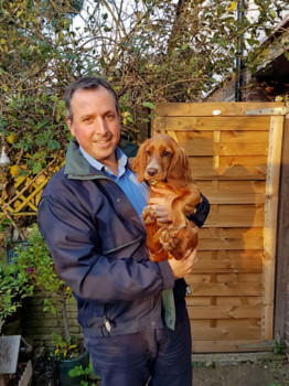 Pet Sitting And Dog Walking In Reigate Surrey