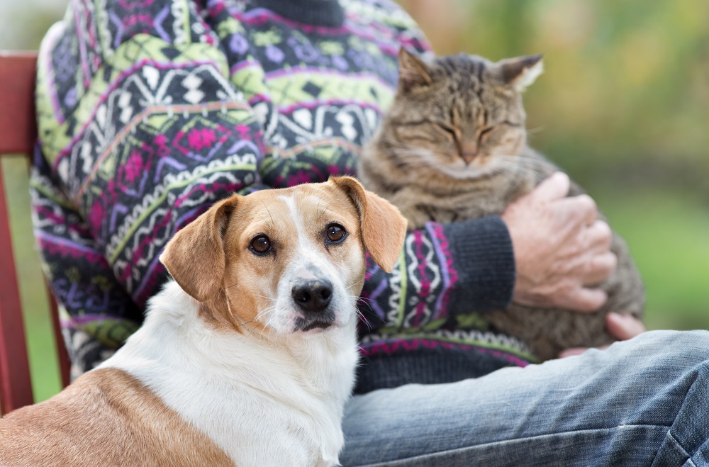 Oscar Pet Food Franchise supports National Pet Month