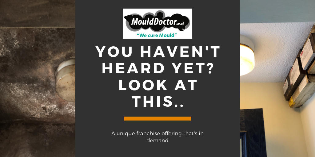 Mould Doctor Franchise offering Mould Doctor Franchise offering