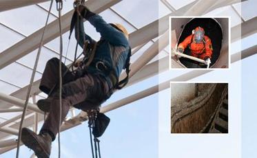 Whelan Pest Prevention Franchisee Whelan Pest Prevention Franchisee