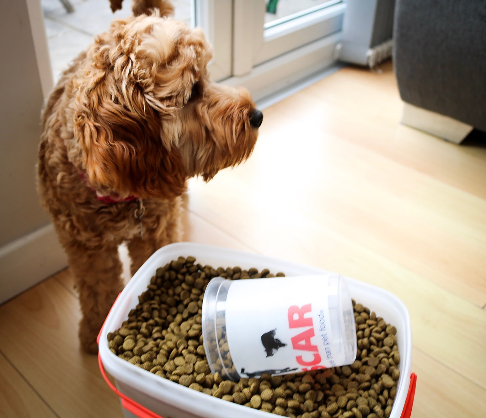 Oscar Pet Food Franchise Opportunities